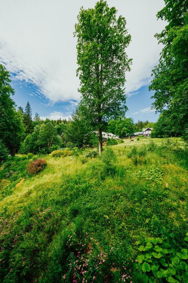 Apartmán U Vlka - Hubertus, Karlova Studánka Exterior foto